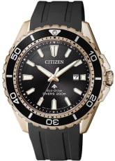 Citizen BN0193-17E