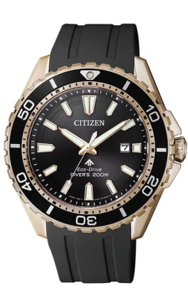 Citizen BN0191-80L