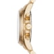 Michael Kors MK6266