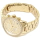 Michael Kors MK6356