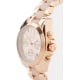 Michael Kors MK6066