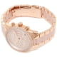 Michael Kors MK6307