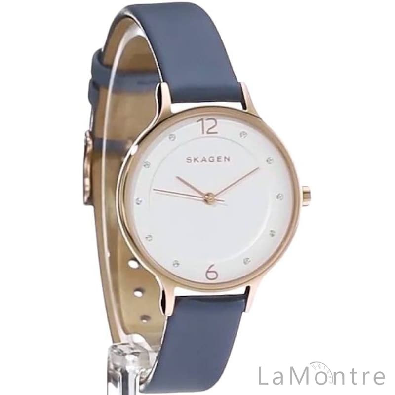 Skagen skw2497 on sale